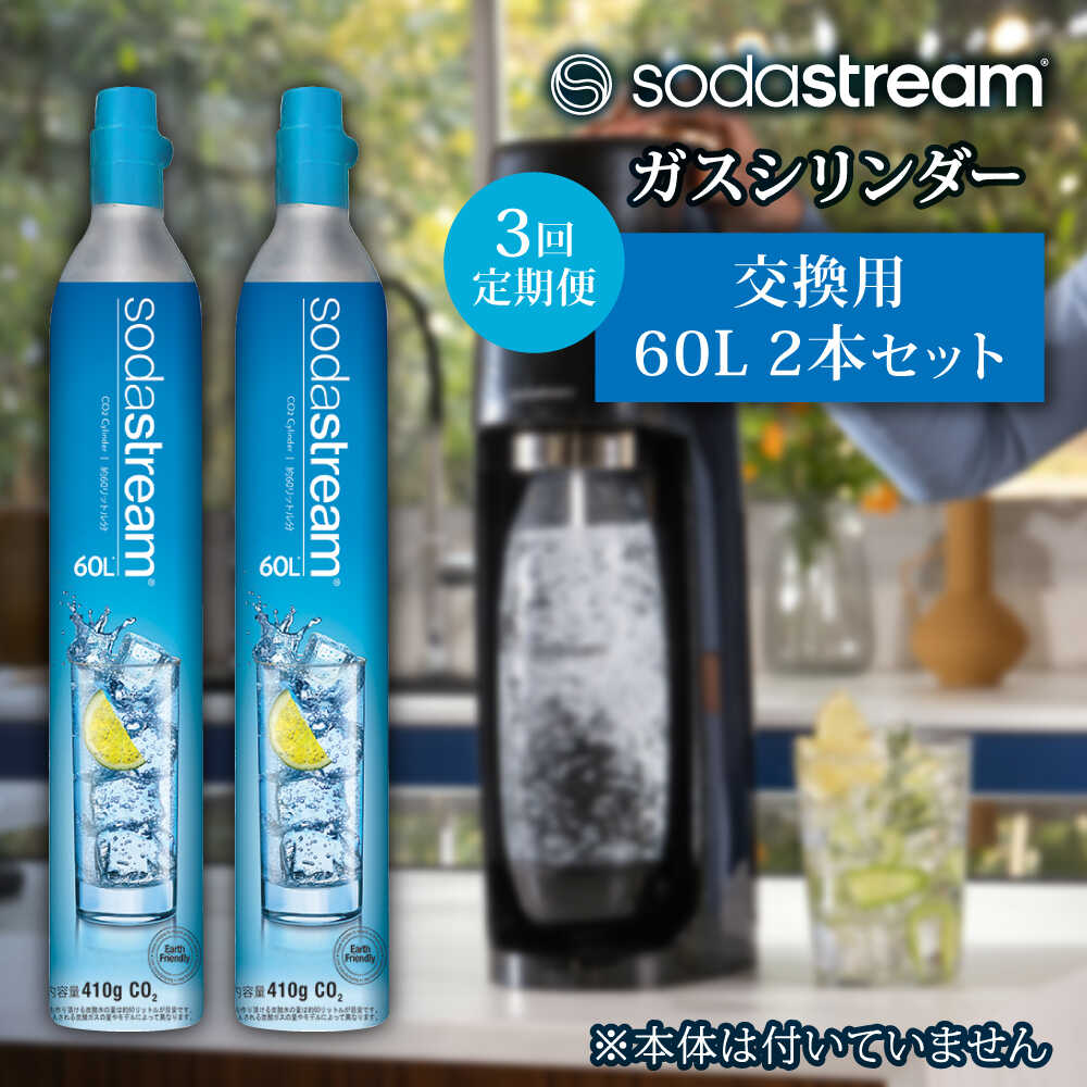 【ふるさと納税】【2本×3回定期便】ソーダストリーム ガスシリンダー交換用60L / SodaStream 炭酸水 水 ソーダ水 回収用送り状付き【ソーダストリーム】[MDN009]