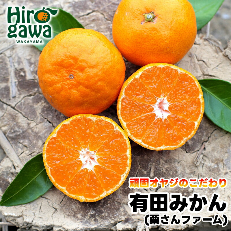 【ふるさと納税】 頑固オヤジの 有田 みかん サイズ混合 / 温州みかん 有田みかん 甘い 訳あり 家庭用 贈答 和歌山 柑橘 3kg 5kg 10kg 8000円 ※11月中旬～1月上旬に順次発送 //mandarin
