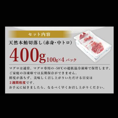 ふるさと納税 室戸市 天然本マグロ(赤身・中とろ)切り落とし400g 刺身用 訳あり 海鮮漬け丼などアレンジさまざま |  | 03