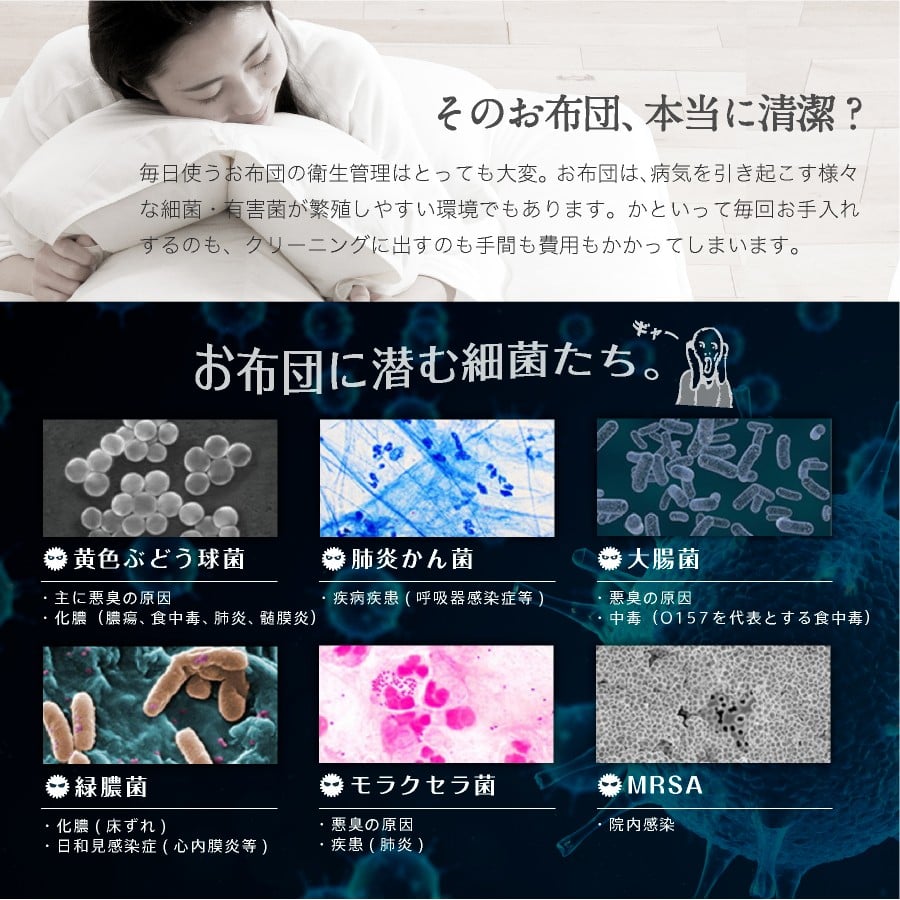 夏用 肌掛け布団 綿 二重ガーゼ シングル《2枚組》（ブルー系・ピンク系）