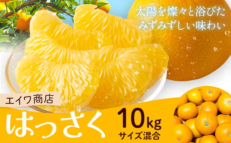 
                  はっさく サイズ混合 10kg エイワ商店《2月中旬-3月中旬頃出荷》和歌山県 日高川町 送料無料 八朔 柑橘類 フルーツ 果物 柑橘 ご家庭用
                