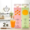 【ふるさと納税】「サジー 100%」と「サジー+ゆず」ジュース 飲み比べ セット 1,000ml×各1本（計2本）｜サジージュース 2種類の味 サジー シーベリー 沙棘 グアマラル 健康ドリンク 健康 美容 栄養 果汁 鉄分補給 栄養補給 ギフト 贈答 贈り物 プレゼント お祝 ご褒美_DX06