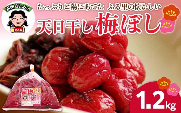 
                  たっぷりと陽にあてた ふる里の懐かしい「天日干し梅ぼし」1.2kg FZ26-725
                