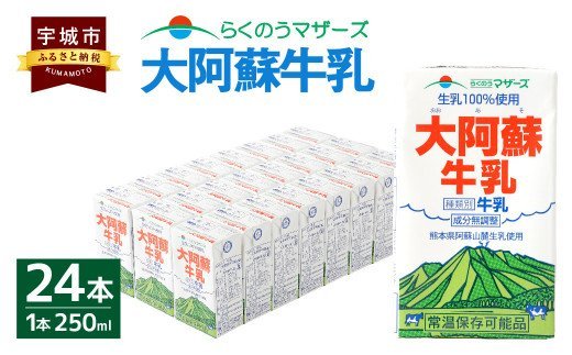 大阿蘇牛乳 250ml×24本 1ケース 生乳 100% ミルク 成分無調整牛乳