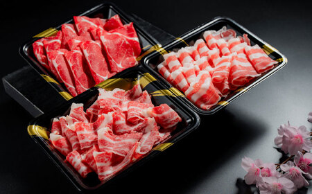 【全5回定期便】新感覚!極薄スライス「花びら馬刺し」3種盛り300g(専用醤油付き) / 馬刺し 菊陽町 熊本県 醤油 専用 ばさし 馬肉 肉 niku 【有限会社 桜屋】[BHDB006]