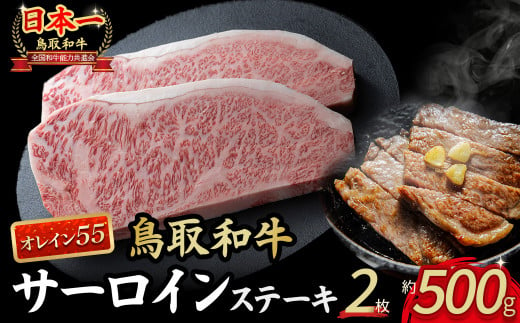 鳥取和牛 オレイン55 サーロインステーキ 2枚 （ 500g ） 国産 牛肉 和牛 黒毛和牛 サーロイン ステーキ サーロインステーキ 高級 希少 鳥取県 倉吉市 KR1288