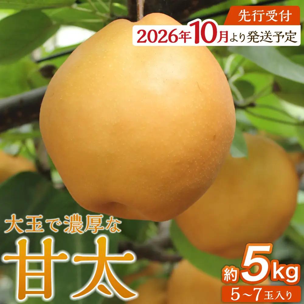 【2026年発送】梨「甘太」約5kg（5～7玉入）松崎果樹園 ｜ 梨