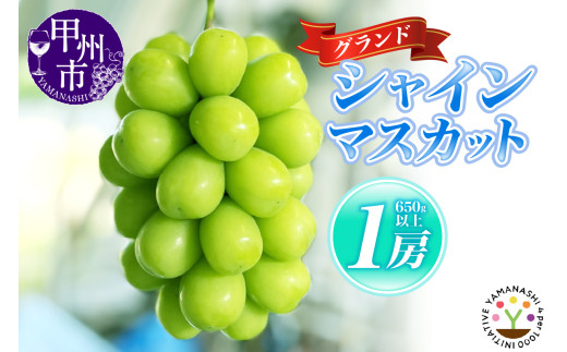 【輝琳】KOSHUグランドシャインマスカット 650g以上（1房）【2026年発送】（SFM）B-965 【シャインマスカット 葡萄 ぶどう ブドウ 令和8年発送 期間限定 山梨県産 甲州市 フルーツ