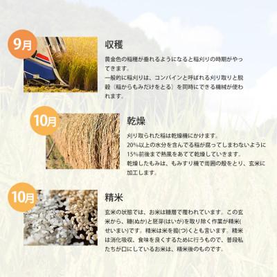 ふるさと納税 早島町 令和7年産 あけぼの 岡山県産 10kg(5kg×2) 新米 白米 |  | 03