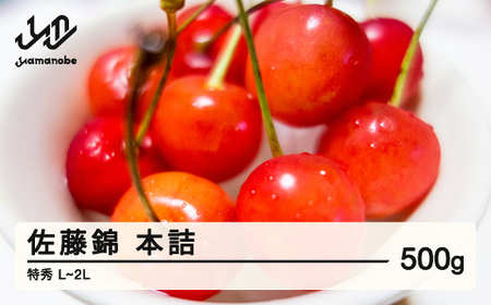 《先行予約》贈答用 2025年 山形県産 さくらんぼ 佐藤錦 500g 本詰 特秀 L～2L  F20A-022