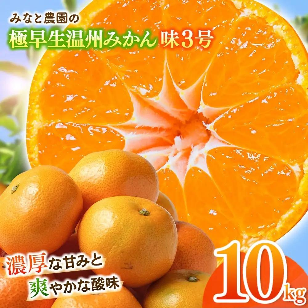 みかん 味3号 温州みかん 約10kg【mntf0006】