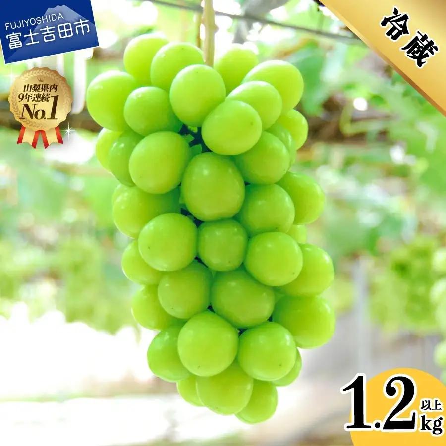 山梨県産シャインマスカット2～3房 (1.2kg以上) 【2026年発送】 フルーツ シャインマスカット