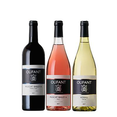 ふるさと納税 西桂町 笹一酒造OLIFANT【赤・白・ロゼ】750ml×各1本(合計3本)山梨県西桂町