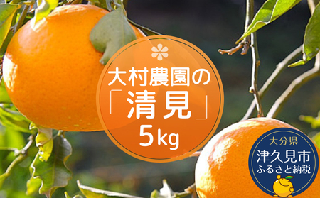 【先行予約】大村農園 みかん 清見 5kg | みかん 津久見市