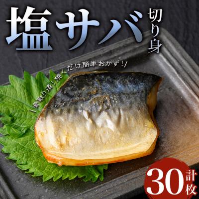 ふるさと納税 曽於市 骨取り塩サバ切身(30枚/約1.8kg)