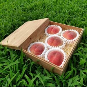 【TVで人気爆発】御中元選ばれる1000個中1個の希少性『幻のシャトーブリアン桃』8月上旬～順次発送【配送不可地域：離島・北海道・沖縄県・中国・四国・九州】【1586347】