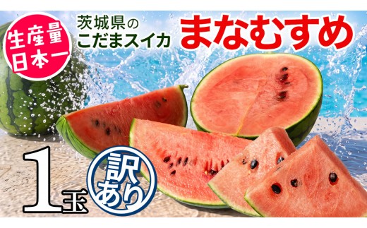 【 訳あり 】【 5月下旬より順次発送 】 こだまスイカ 愛娘 （ １玉 ）際まで甘い スイカ 西瓜 旬 旬の果実 旬のフルーツ くだもの 果実 フルーツ 夏 [BC060sa]