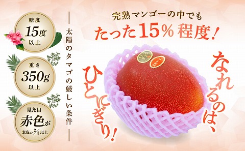 《2024年発送》期間限定 数量限定 宮崎県産 太陽のタマゴ 1玉 約350g以上 ワンランク上の宮崎完熟マンゴー