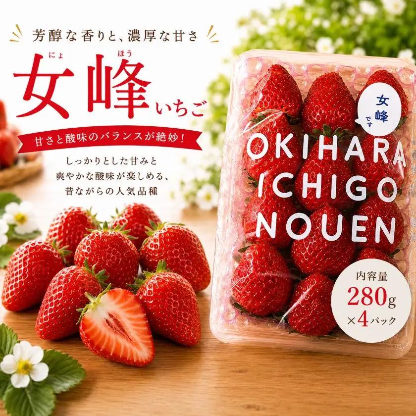 【先行予約】いちご 女峰 1120g (280g×4P）| 栃木県 那珂川町 送料無料【栃木県共通返礼品】
