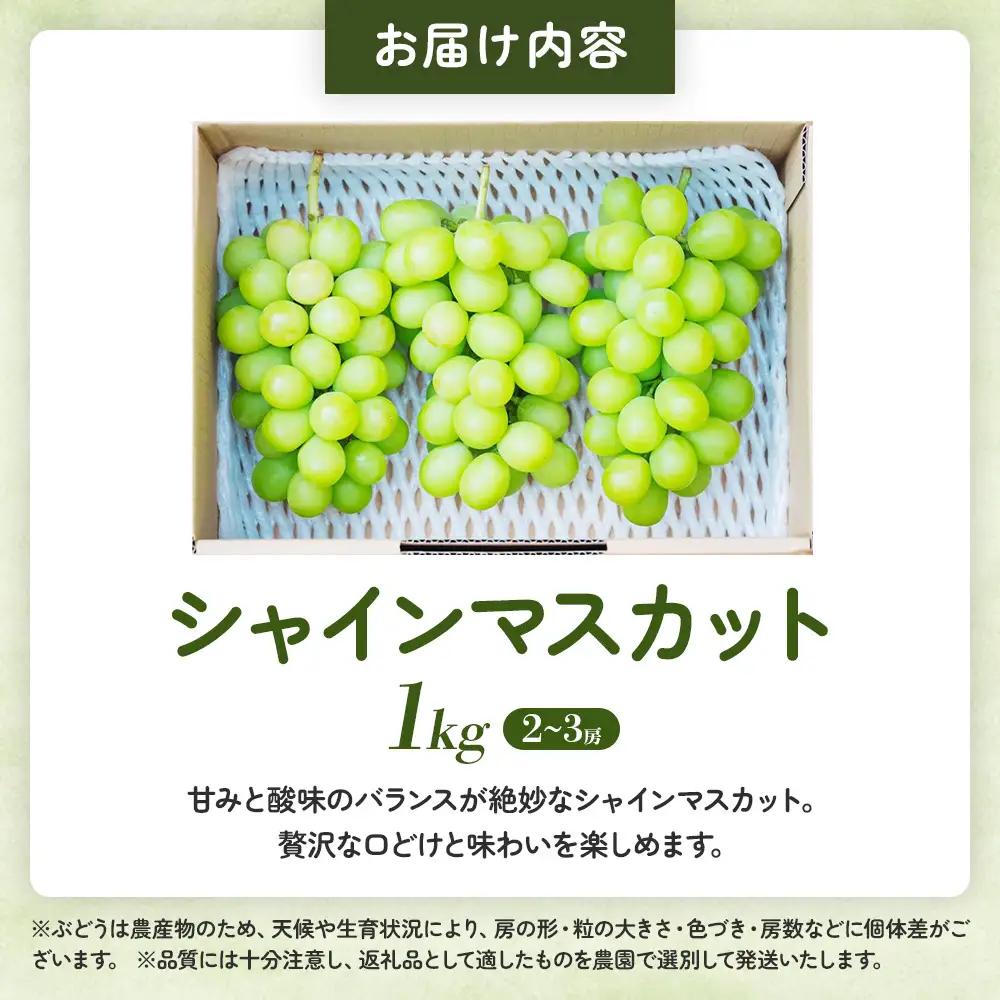山梨県 甲斐市産 シャインマスカット1㎏ 山梨シャインマスカット
