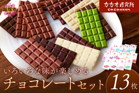 カカオ研究所のチョコレートセット(13枚)チョコレート 板チョコレート ビーントゥバー Bean to Bar カカオ 福岡 飯塚【E-089】