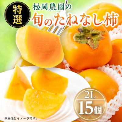 ふるさと納税 橋本市 【2026年秋より順次発送】旬のたねなし柿　特選2Lサイズ(15個入り)