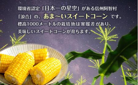 【先行予約】浪合スイートコーン | 野菜 とうもろこし トウモロコシ コーン 信州 長野