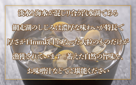 網走湖産 天然大粒 大和しじみ 2.5kg ※着日指定不可 ABX033