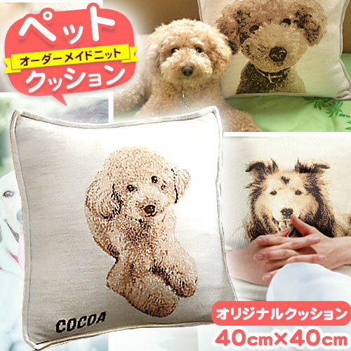 【ふるさと納税】ペットオーダーメイドニット クッション 有限会社 三浅あみものセンター 《90日以内に出荷予定(土日祝除く)》鳥取県 八頭町 思い出 オーダーメイド クッション ペット ニット