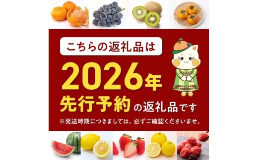 【2026年先行予約】【秀品】和歌山県産　有田みかん 約10kg （S～Ｌサイズ混合）【まごころ手選別】_ZE6519
