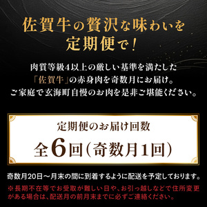 【佳撰】佐賀牛 赤身 定期便（6回／奇数月）／ 牛肉 定期便 【Z043】
