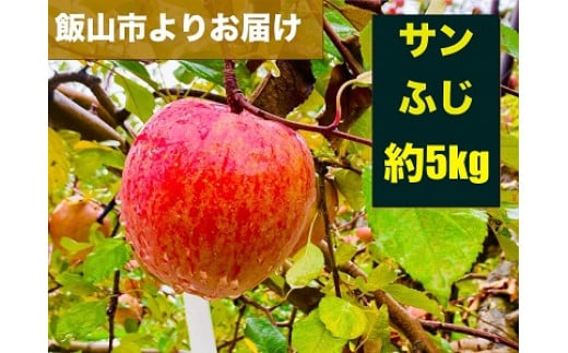 
【先行予約】 サンふじ 約5kg（2024年産） (N-1.5)
