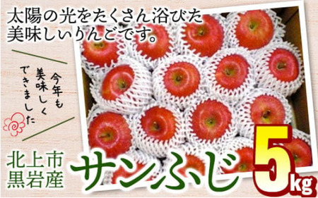 りんご（ サンふじ ）約5kg 12月より発送開始 くろいわ産直 フジ さんふじ 贈答 お歳暮 ギフト 冬の贈り物 プレゼント 厳選 甘い 果汁たっぷり リンゴ 林檎 岩手県 北上市 E0310 国産 果物 フルーツ 林檎 アップル