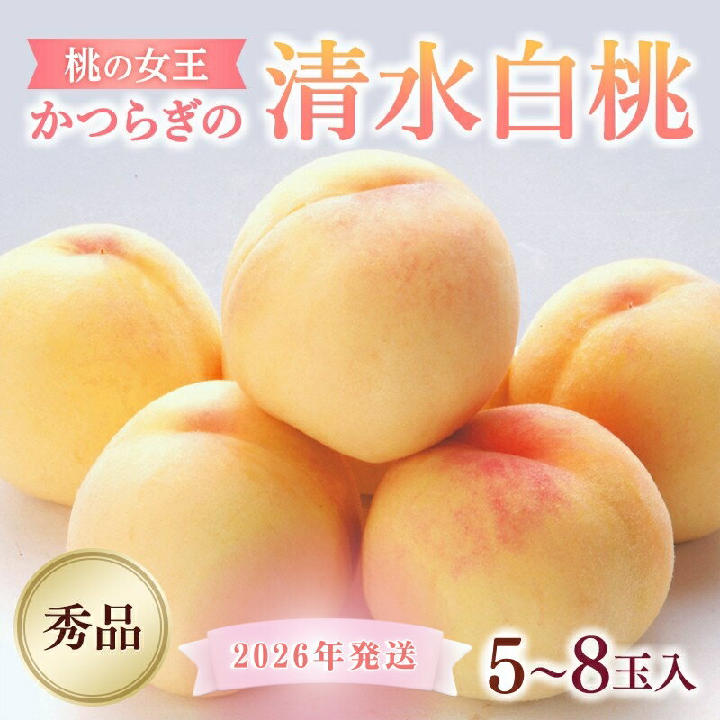 【ふるさと納税】 ☆2026年先行予約☆ 和歌山県産 桃の女王『清水白桃』 5〜8玉入り　秀品【2026年7月中旬から8月上旬ごろ発送】｜桃 白桃 もも 果物 先行予約 フルーツ 和歌山県 かつらぎ町 松源