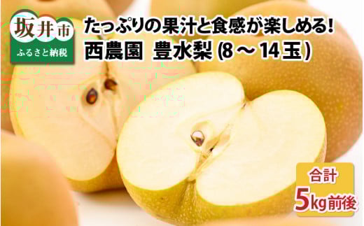 【先行予約】【豊水梨】5kg前後 (8～14個) もぎたて！たっぷり果汁の新鮮な梨をお届け！【2026年8月下旬以降順次発送予定】【梨 なし 和梨 フルーツ 甘い みずみずしい 果実 果物 新鮮 お土産 贈り物 旬の果物】 [A-15004]
