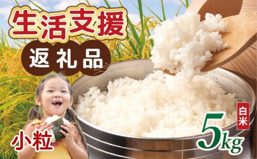 【 訳あり 】 近江ブレンド米 小粒 白米 5kg