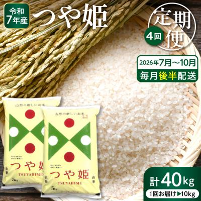 ふるさと納税 東根市 2026年7月スタート 特別栽培米 つや姫 10kg×4回(毎月後半発送)定期便 hi053-069