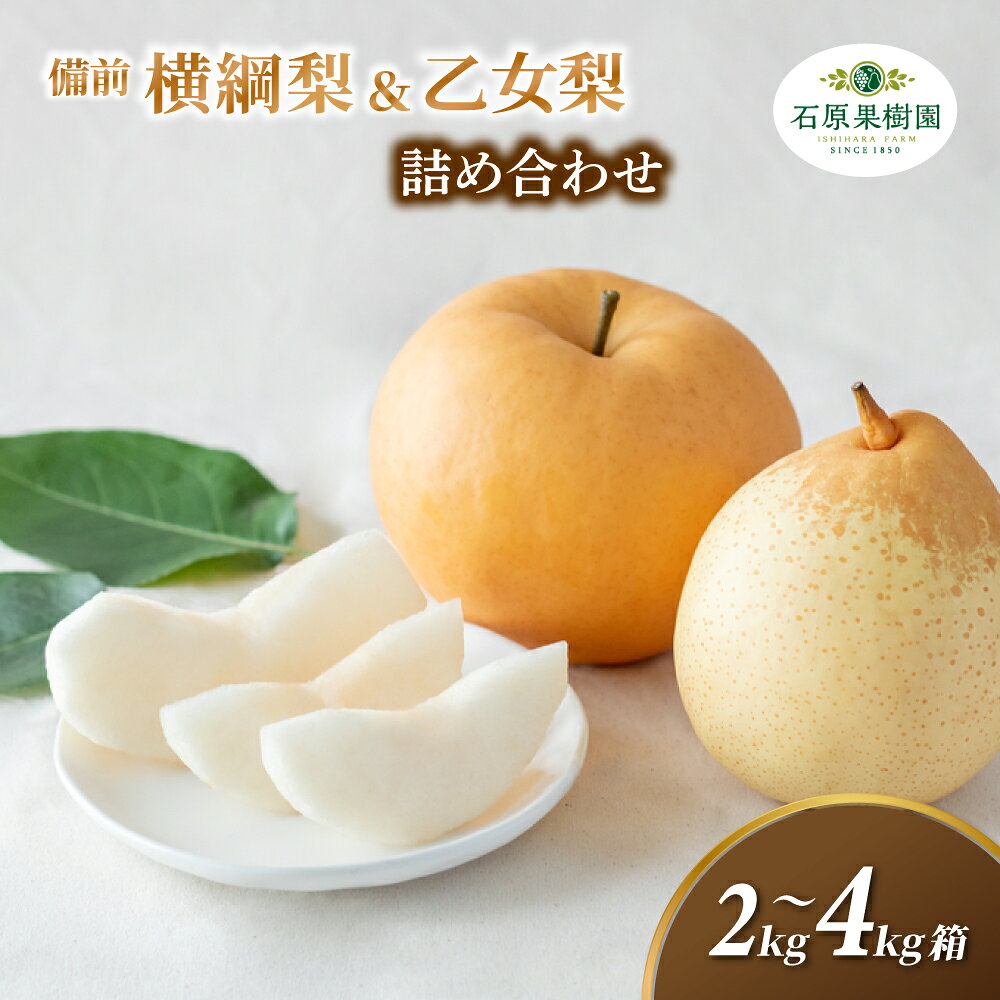 【ふるさと納税】 梨 詰め合わせ 横綱梨 乙女梨 先行予約 2kg 3kg 4kg 贈答箱 化粧贈答箱 赤秀 岡山県産 | 特選品 上級品 贈り物 御歳暮 果物 くだもの フルーツ 和梨 石原果樹園 贈答品 岡山県 真庭市