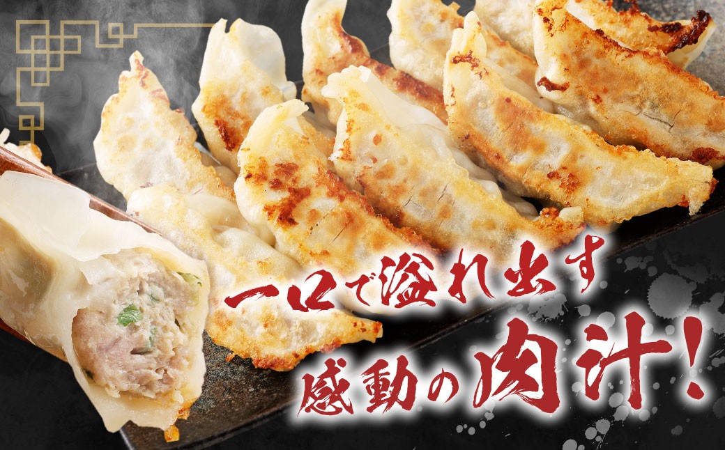 A326 驚愕の肉80%使用! 肉ニクホルモン餃子 1パック25個入り 680g×2パック （合計50個）