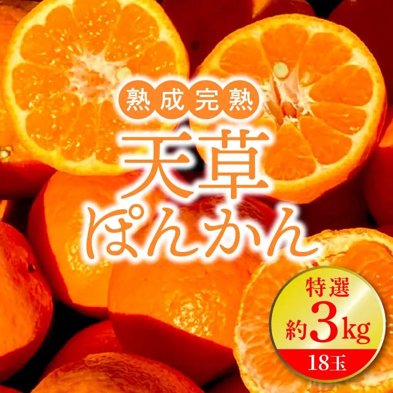 S117-001A_熟成完熟！天草ぽんかん　特選　約3kg（18玉）1月発送〈先行受付〉