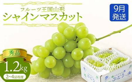 【先行予約 2026年度発送】♪フルーツ王国山形 シャインマスカット1.2kg 9月発送 マスカット ぶどう ブドウ 葡萄 デザート フルーツ 果物 くだもの 果実 食品 山形県 FSY-2555