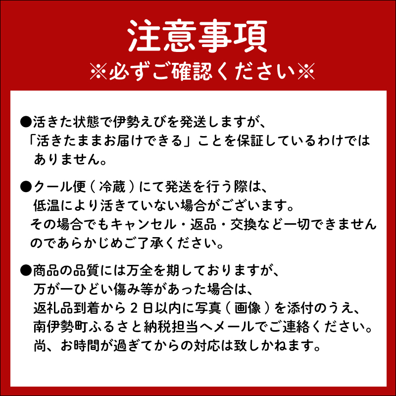 （冷蔵） 活伊勢海老 ＆ 活さざえ （A） ／ 丸池 伊勢えび イセエビ 壺焼 さざえ 海鮮 特産 海の幸 新鮮 三重県 南伊勢町 伊勢志摩