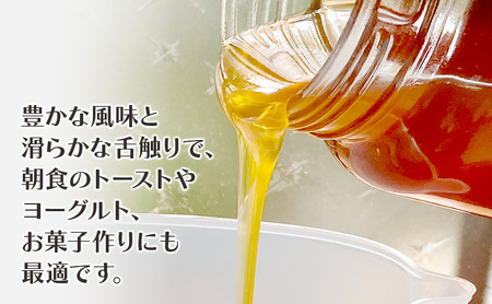 はちみつ 日本蜜蜂の百花蜜 フルーティーな味 340g×1本
