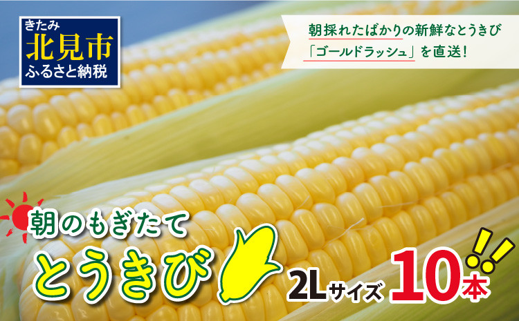 
                  朝のもぎたて とうきび2Lサイズ 10本 ( 野菜 トウモロコシ とうきび とうもろこし コーン ゴールドラッシュ 採れたて 新鮮 )【124-0005-2026】
                