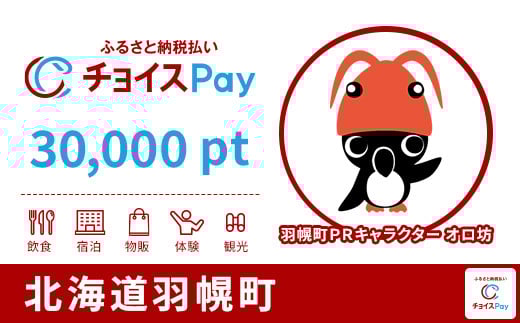 
            羽幌町チョイスPay 30,000pt【会員限定のお礼の品】
          