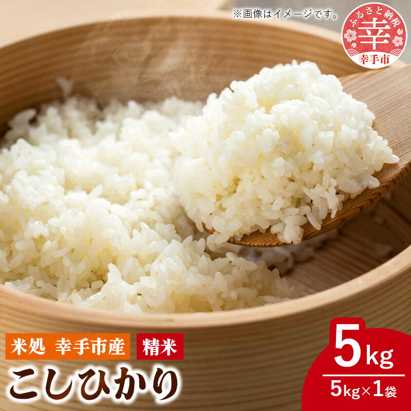 【ふるさと納税】令和6年幸手産 こしひかり【精米】5kg×1袋 - コシヒカリ 精米 5Kg 令和6年産 埼玉県 幸手市 幸手市産