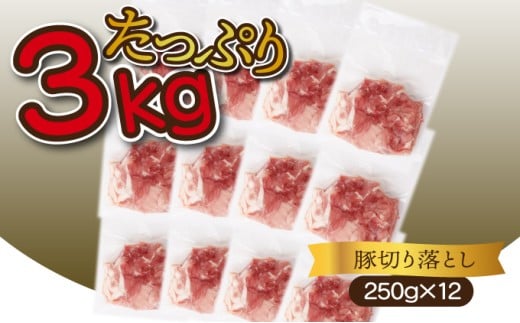 <2025年12月発送分>宮崎県産 豚肉切り落とし 250g×12パック 合計3kg