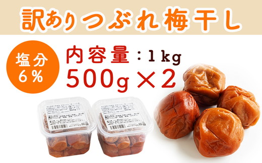 梅干し 無添加 訳あり はちみつ梅干1kg（500g×2） 紀州梅香 ◇ ｜ 和歌山 みなべ町 梅干し ウメ 梅 梅干 南高梅 減塩