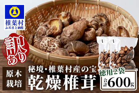 【訳あり】【徳用】秘境・椎葉村産 原木 乾しいたけ 600g（300g×2袋）［送料無料 宮崎県産 国産 原木椎茸 椎茸 シイタケ しいたけ 乾しいたけ 干し椎茸 原木栽培 産地直送 乾物 きのこ グアニル酸 ビタミンD おすすめ 栄養 美容 食物繊維 煮物 みそ汁 汁もの ダシ 出汁 お鍋 鍋 特産品 ご当地 お取り寄せ 大容量 調味料 ギフト 贈物 プレゼント お中元 お歳暮 化粧箱入］【JA-33】