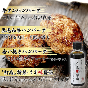 舞鶴三味膳 醤油で食べる 贅沢ハンバーグ 詰め合わせ ： うま味醤油 醤油セット ハンバーグ ハンバーグ